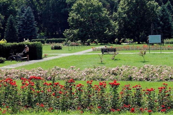 Rekordowa liczba odwiedzających Park Śląski 