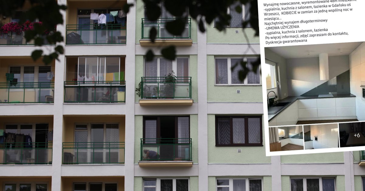 www.onet.pl