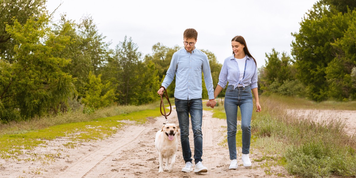 friends taking the dog to the park