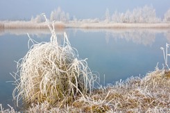 Tej nocy mróz uderzy najmocniej. Synoptycy wskazują konkretną datę. Czy w nocy z 17 na 18 grudnia będzie mróz w Polsce?