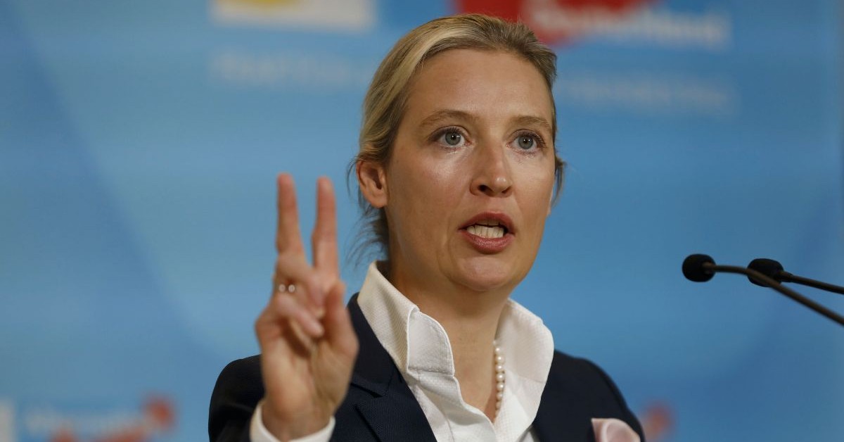 AfD miażdży konkurencję. Idzie po zwycięstwo pod granicą Polski