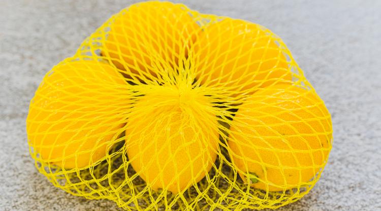 Ennyi mindenre használhatod a citromos hálót Fotó: Getty Images