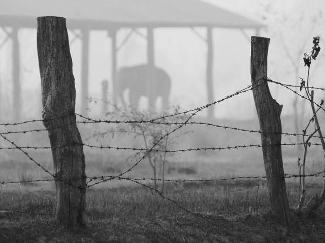 Galeria IV Konkurs Fotograficzny National Geographic Polska, obrazek 2