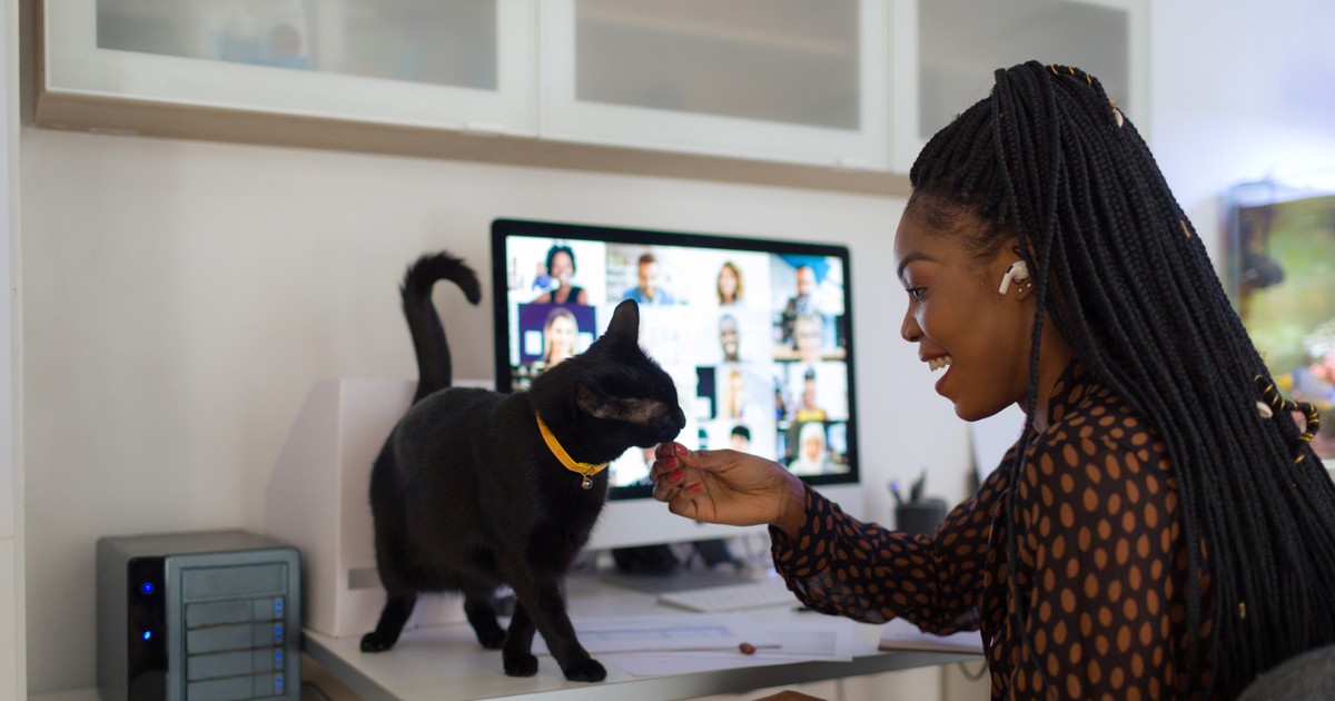 You believe your cat loves you. Now science has proof - Vimarsana News