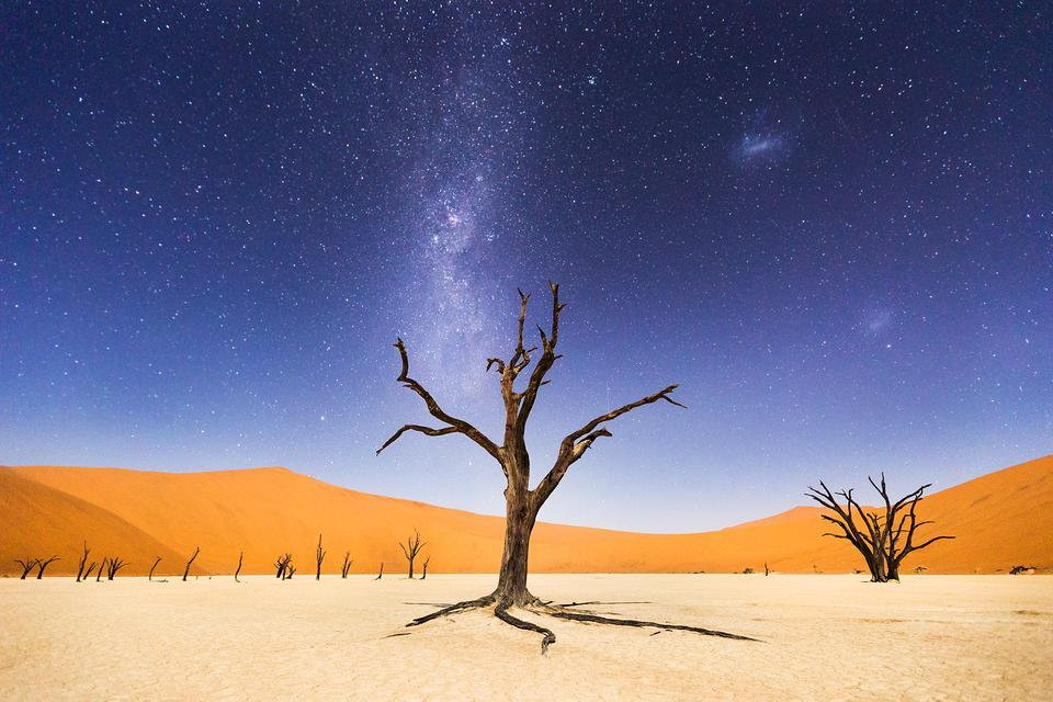 Wyróżnienie - A Night at Deadvlei (pol. Noc w Deadvlei), Beth McCarley