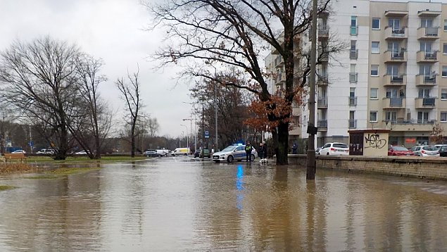 źródło: Straż Miejska