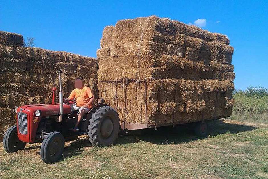 M. M. osumnjičeni za ubistvo Miroslava na gulašijadi