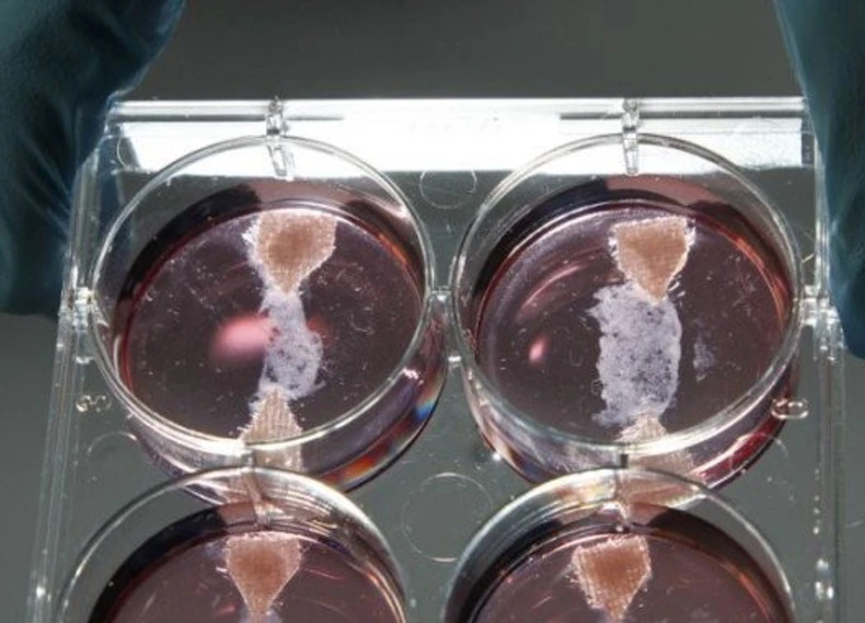 Ovako sve počinje...