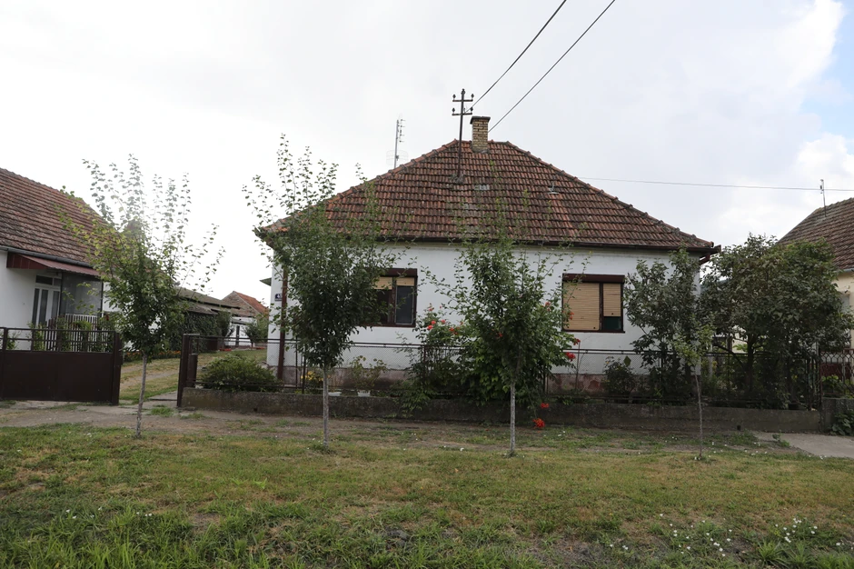 Dete je nastavilo da živi sa Dijaninim roditeljima