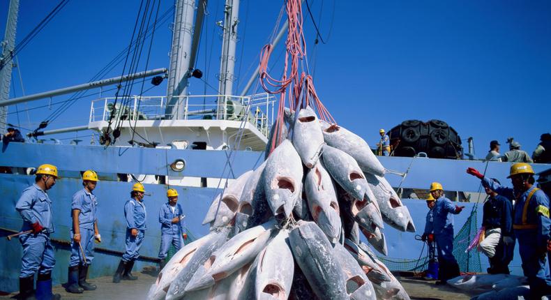 Greenpeace accuse des navires chinois de pêche illicite au large du Sénégal