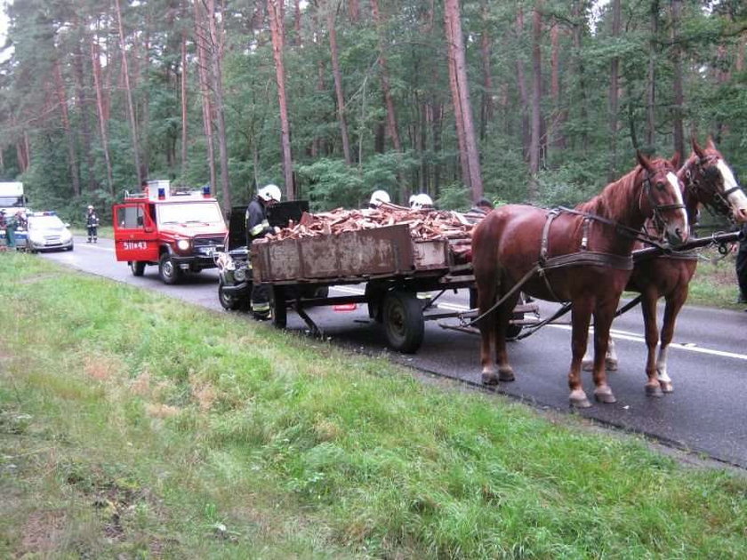 Kobieta wjechała w zaprzęg konny! FOTY