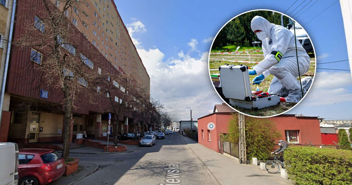 Morderstwo w Gdyni. Śledczy ponownie badają mieszkanie ofiary