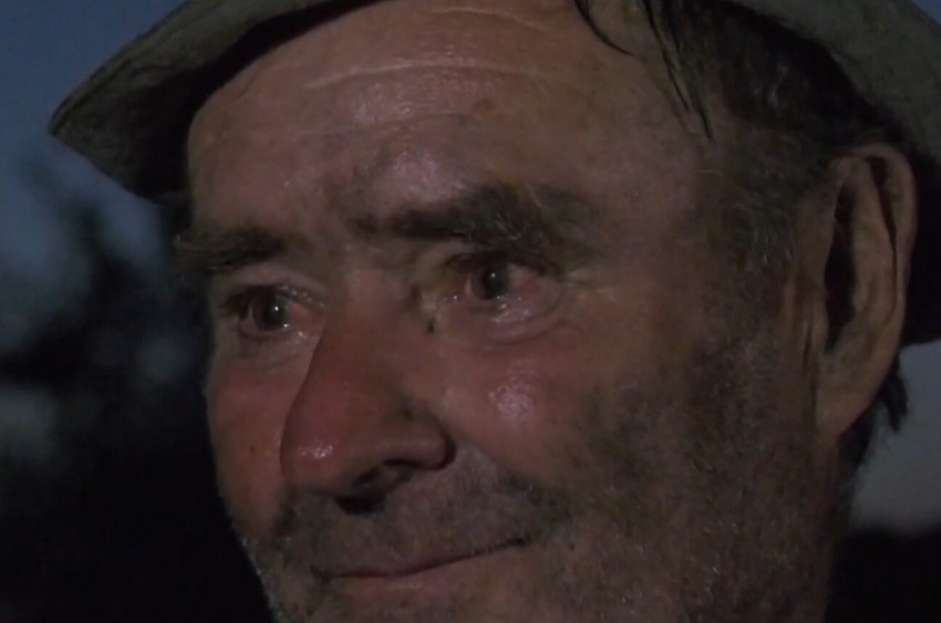 Vučina Arsenijević