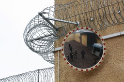 odpowiedzialność za błędy urzędników – między automatyzmem a martwotą