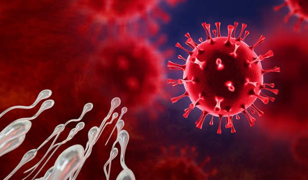 COVID-19 menja sastav spermatozoida