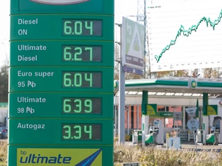 Nie tylko polscy kierowcy cierpią z powodu drogich paliw. W Holandii cena litra benzyny przekroczyła dwa euro i wynosi – w przeliczeniu – 9,6 zł
