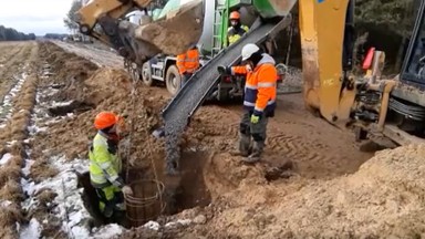 Zapora na granicy i początek sezonu rozrodczego zwierząt. Stanowisko Rady Klimatycznej UJ 