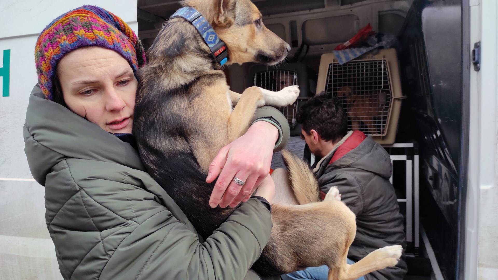 Zwierzęta z Ukrainy. "Nasze psy są częścią naszej duszy, nie możemy ich zostawić"