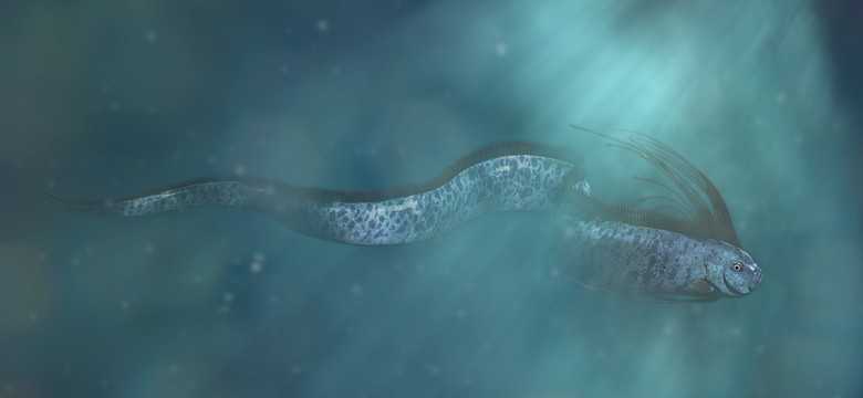 Aż dwie ryby "końca świata" znaleziono w Meksyku. Nadciąga kataklizm? [WIDEO]