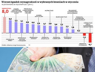 W których branżach wzrost wynagrodzeń był największy?