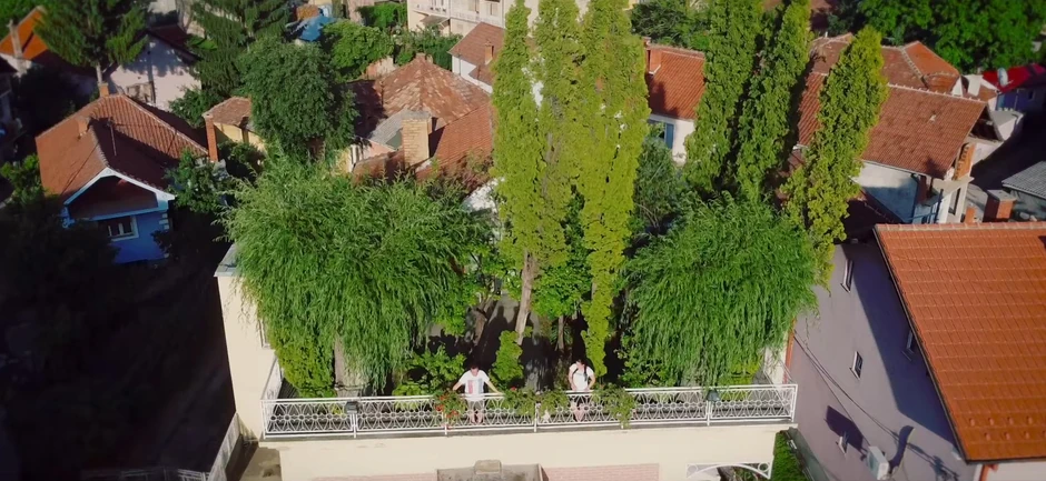 Park na krovu kuće pekara Dobrice, Pirot