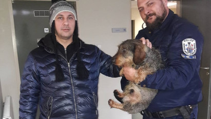 Reszkető házi kedvencet mentettek ki a jeges vízű Tiszából a Tokaji Rendőrőrs munkatársai