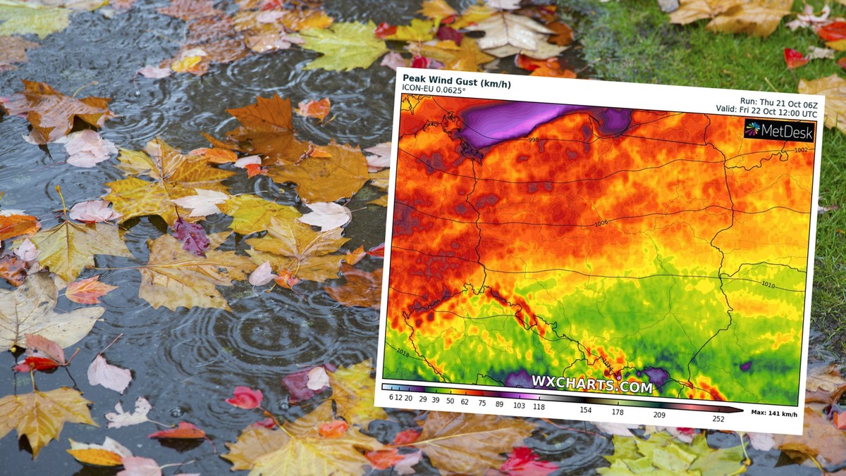 Prognoza pogody na piątek, 22 października. Będzie zimno, wietrznie i mokro