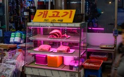 Ten kraj przyjął ustawę o zakazie uboju psów i konsumpcji psiego mięsa