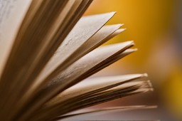 QUIZ ze szkolnych lektur. Pamiętasz, gdzie działa się akcja tego arcydzieła?