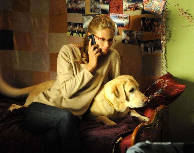 2. sezon serialu 'Blondynka'