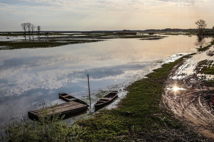 Wiosna nad Biebrzą