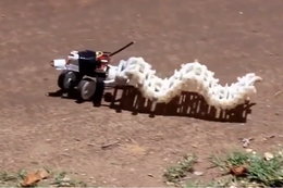 To jeden z najszybszych i najmniejszych robotów na świecie