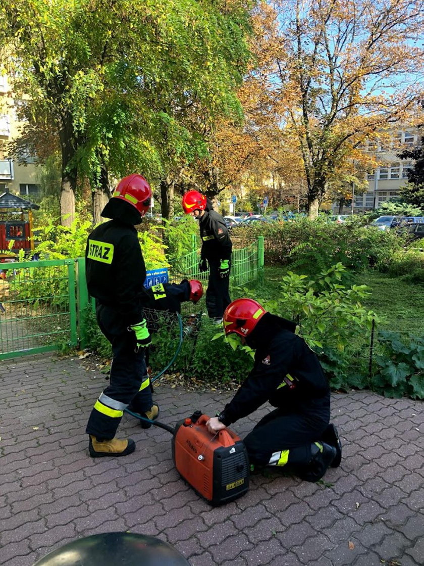 Strażacy uratowali jeża