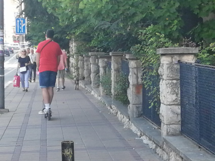 Svakodnevni prizor sa beogradskih ulica i trotoara