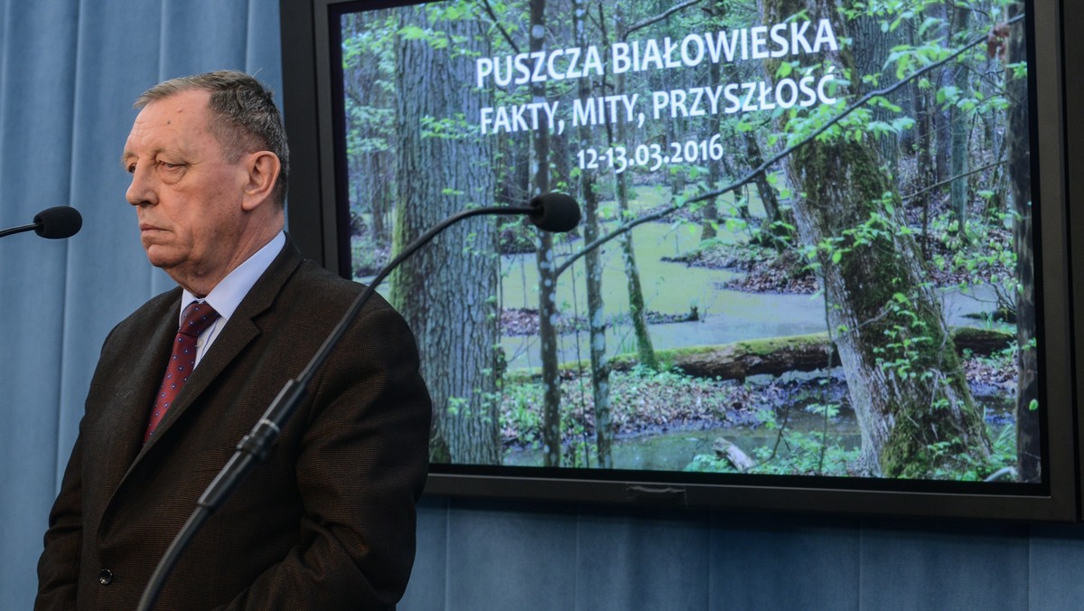 Zostawiamy 1/3 nadleśnictw w Puszczy Białowieskiej bez jakiejkolwiek ingerencji człowieka - poinformował w niedzielę minister środowiska Jan Szyszko. Według niego w pozostałej części puszczy zostaną podjęte działania zmierzające do zahamowania "procesu destrukcji siedlisk".