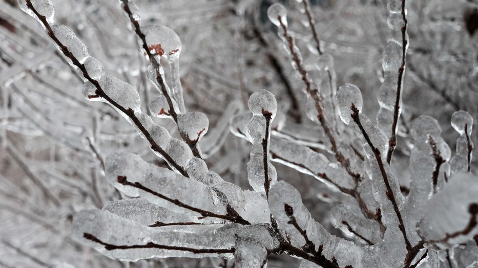 Nálunk extrém meleg, máshol extrém hideg. Fotó: Northfoto