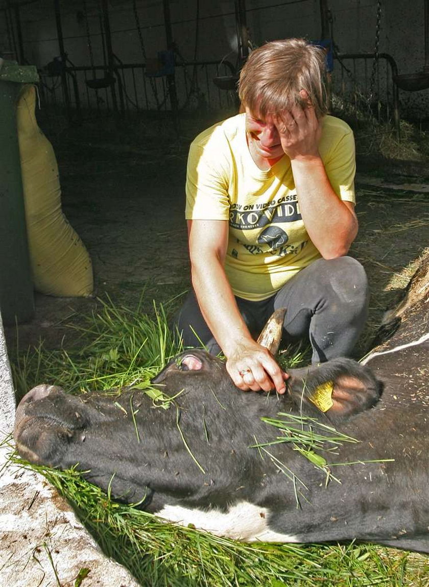 Krwiożercze bestie terroryzują Podlasie!