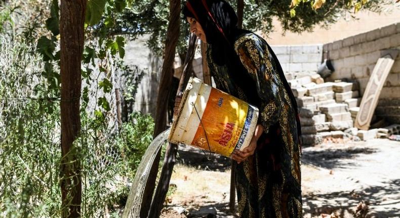 Warda al-Jassem waters her grape vine during a trip back to her home in Raqa on July 15, 2017