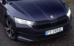 Oto nowa Skoda 4x4. Napęd 6. generacji hitem w Polsce