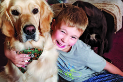 Autism Assistance Service Dog Transforms Boy’s School Experience