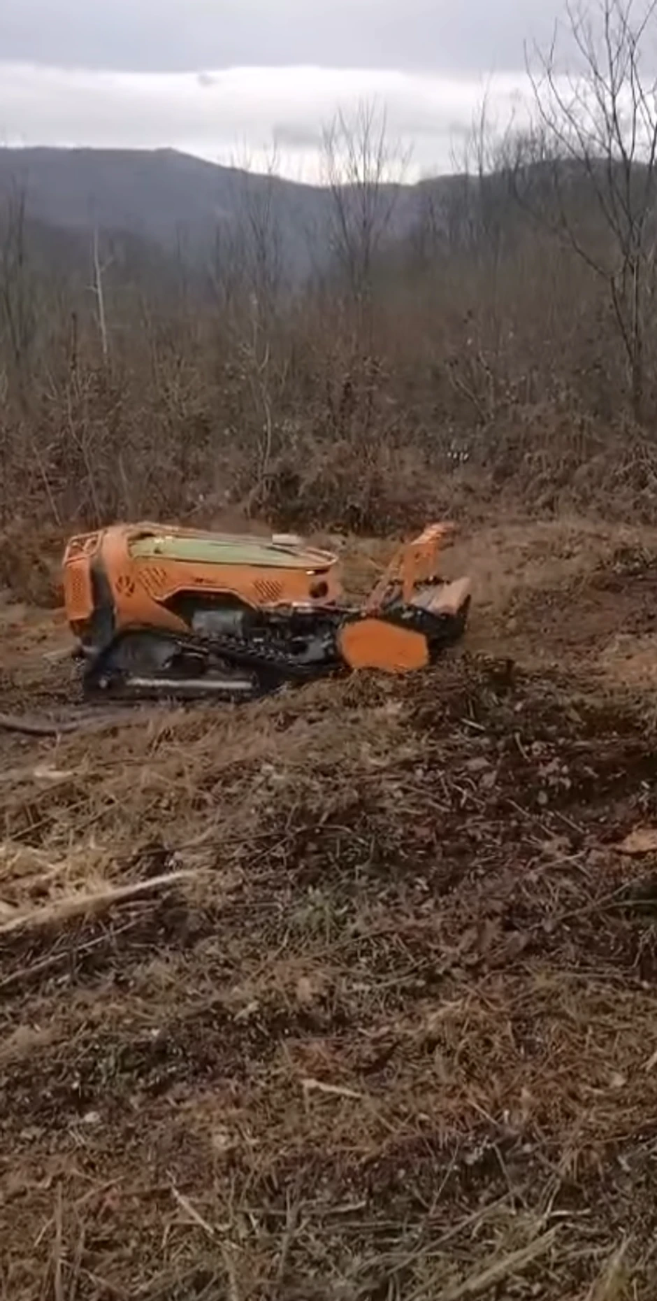 Marija je snimila kako se raskrčuje zemšljište, kao i nisko rastinje