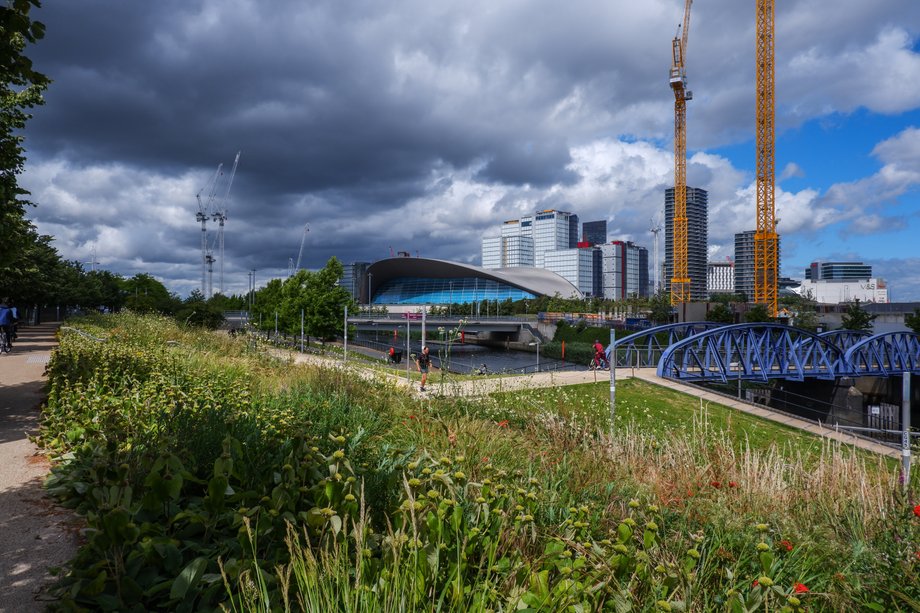 London Aquatics Centre w Parku Olimpijskim im. Królowej Elżbiety 