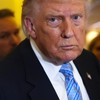 Donald Tramp
