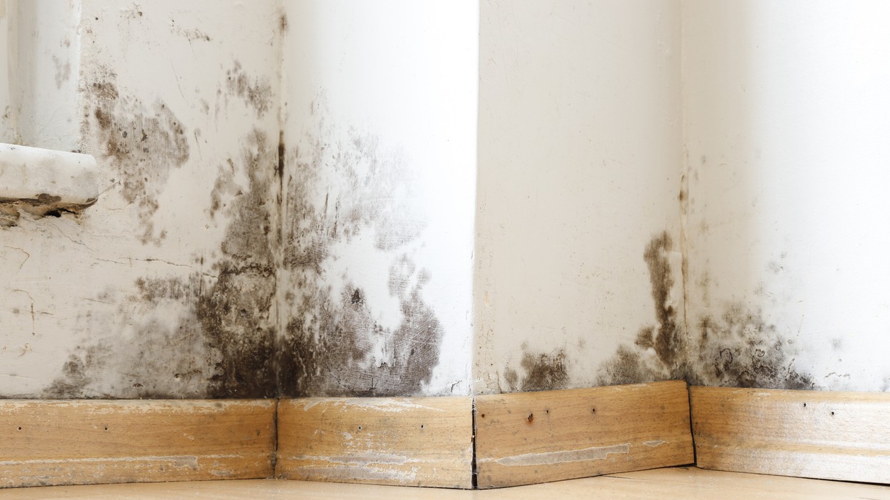 Pravidelné vetranie a správna teplota pomáhajú predchádzať plesniam. (ilustračná foto)