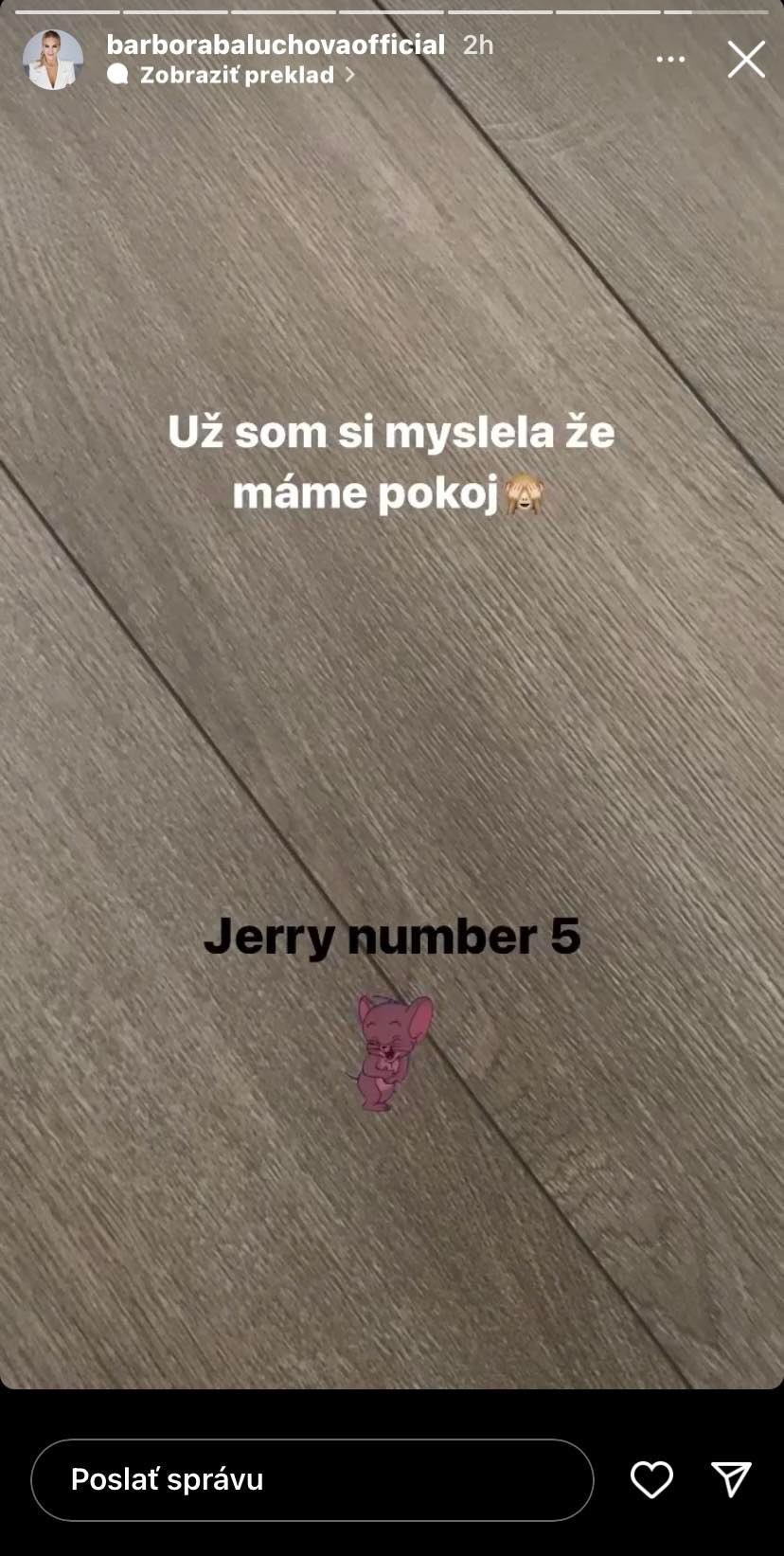 Barbora zistila, že vy byte majú ďalšiu myš. 