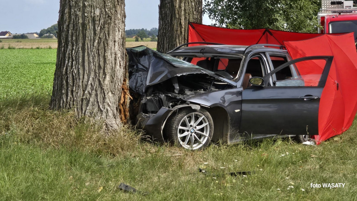 Znaleźli ofiary wypadku po sześciu godzinach. Pasażerowie uciekli!