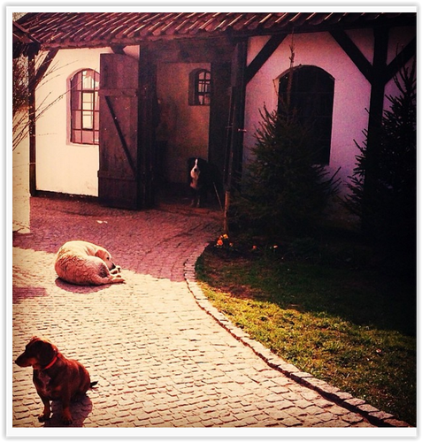 Tak mieszka Piotr Kraśko