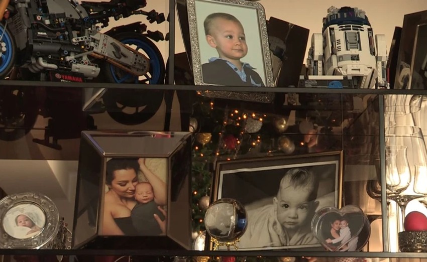 Aleksandra Prijović, dom