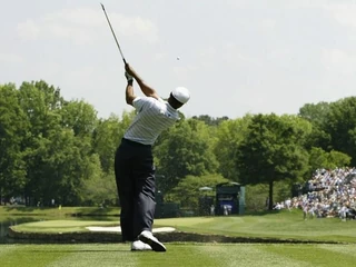 Tiger Woods 1000500100900