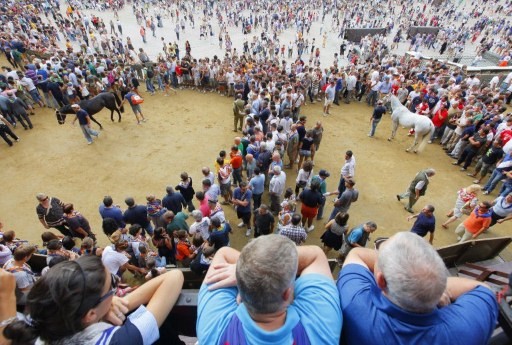 PALIO SIENA